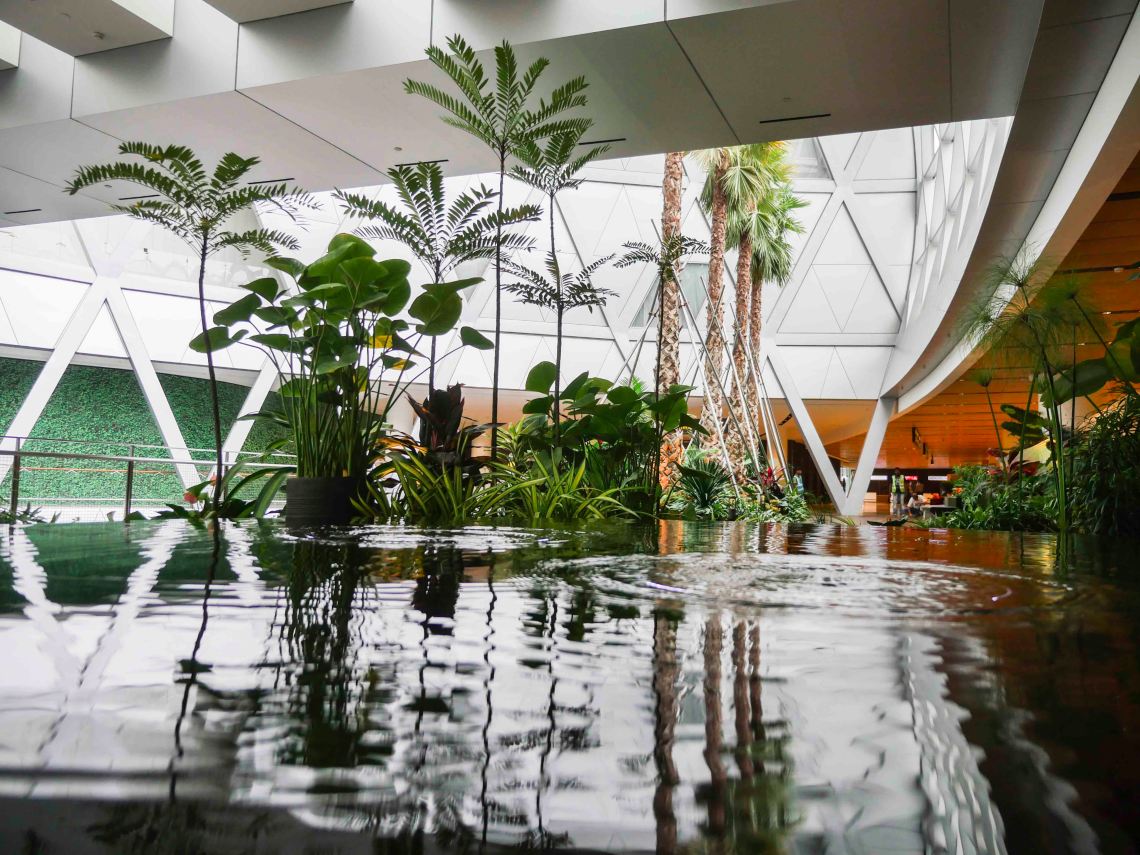 Garden at Changi Airport, Terminal 1 Arrival Hall